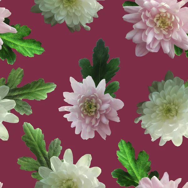 Foto Modello Digitale Senza Soluzione Continuità Con Crisantemi Natura Fiori — Foto Stock