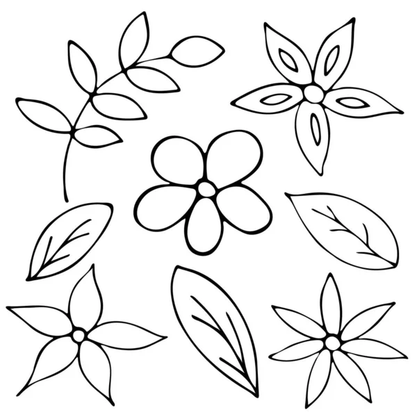 Set di fiori Doodle disegnati a mano in bianco e nero. — Vettoriale Stock
