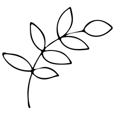 Beyaz Arkaplanda Yaprakları Olan Siyah ve Beyaz El Çekilmiş Dal.