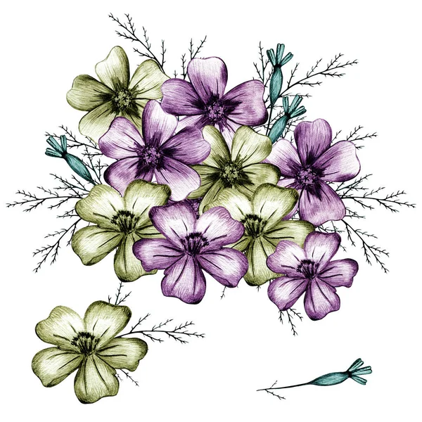 Bouquet di colorato fiore di calendula disegnato a mano isolato su sfondo bianco. — Foto Stock