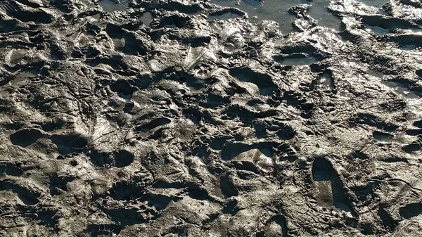 Pegada ou marca na lama. Textura de lama ou solo castanho húmido como argila orgânica natural e mistura de sedimentos geológicos como em desbaste-lo em um terreno de campo lamacento sujo após a chuva ou chuvoso. — Fotografia de Stock