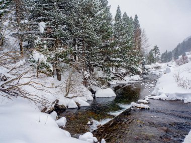Kar ormanlarının nehirlerinin manzarası. Kış ormanı nehirlerinin manzarası. Karlı nehir manzarası. Kış ormanı nehri