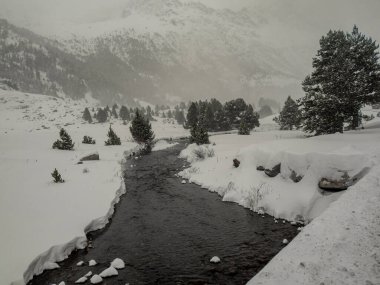 Kar ormanlarının nehirlerinin manzarası. Kış ormanı nehirlerinin manzarası. Karlı nehir manzarası. Kış ormanı nehri