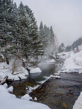 Kar ormanlarının nehirlerinin manzarası. Kış ormanı nehirlerinin manzarası. Karlı nehir manzarası. Kış ormanı nehri