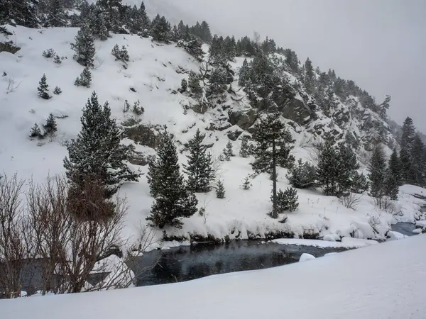 Kar ormanlarının nehirlerinin manzarası. Kış ormanı nehirlerinin manzarası. Karlı nehir manzarası. Kış ormanı nehri