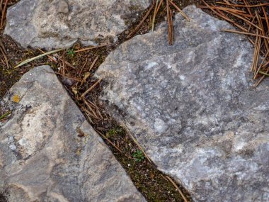 a closeup shot of a stone covered with moss