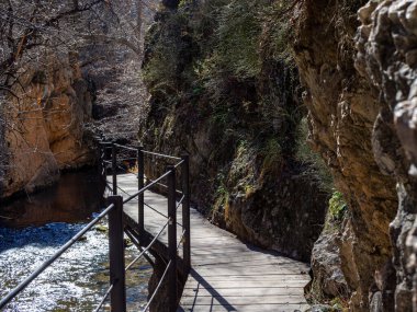 Dağlardaki tahta köprünün dikey görüntüsü.