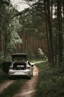 Ormandaki yolda bir araba var. Aile aracını kullanarak kırsal alanda eğlenceli bir hafta sonu konsepti