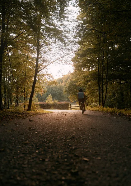 Cycliste Fait Vélo Sur Sentier Forestier Asphalte Concept Vélo Dans — Photo