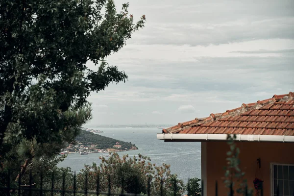 Vista Península Bosques Selvagens Sobre Mar — Fotografia de Stock