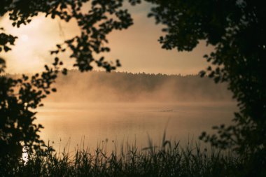 Gölde gün doğumu. Nehrin üzerinde gün doğumu. Kashubian Milleti Parkı Polonya 'da Sabah Manzarası.