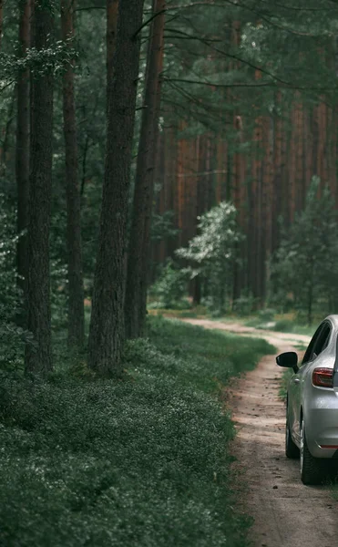 Samochód Ścieżce Lesie Koncepcja Weekendu Rekreacyjnego Obszarach Wiejskich Wykorzystaniem Pojazdu — Zdjęcie stockowe