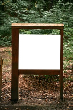 Avrupa ormanlarında boş ahşap poster modeli. İleti kopyalama alanı reklamı yapılıyor.
