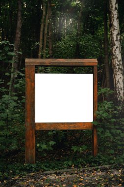 Avrupa ormanlarında boş ahşap poster modeli. İleti kopyalama alanı reklamı yapılıyor.
