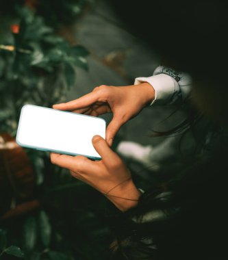 Yeşil bitkiler arka planında daha az cep telefonu tutan el modelleri.