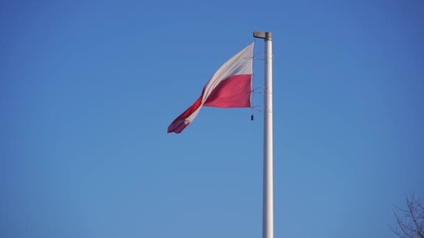 空にはポーランド国旗が振ってある 旗竿にポーランド国旗を振り ポーランドの国旗の色 — ストック動画