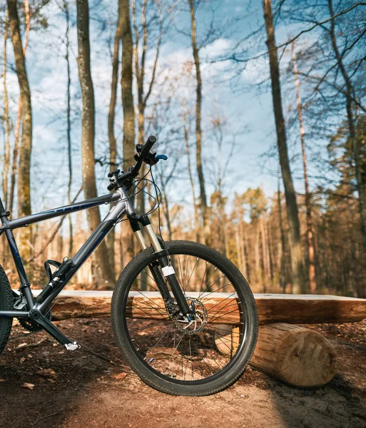 Mountain Bike Woods Bicycle Sports Geometry Air Fork Stands Forest — ストック写真