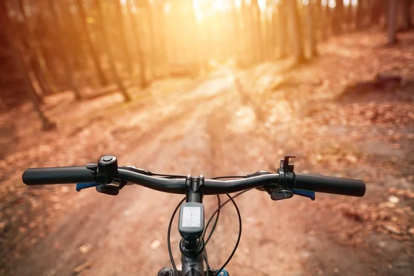 Birinci şahıs bisiklet sürüşü. Bisiklet süren bir adam. Bisiklet gidonunu bir eliyle spor eldiveniyle tutuyor. Yaz zamanı açık hava sporu aktivitesi. Bisiklet sapı çubuğunu kapat