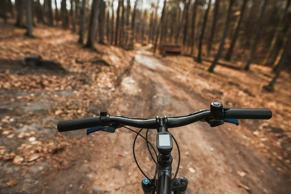 First Person View Handling Bicycle Forest Road City Sunlight Concept — Stockfoto