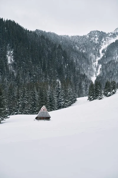 Big Hiker Shelter Snowy Mountain Landscape Concept Winter Vacations Mountains — стоковое фото