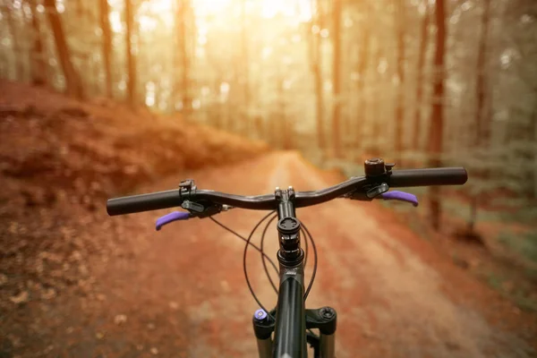 Första Person Syn Hantering Cykeln Den Tomma Skogsvägen Mot Solljus — Stockfoto