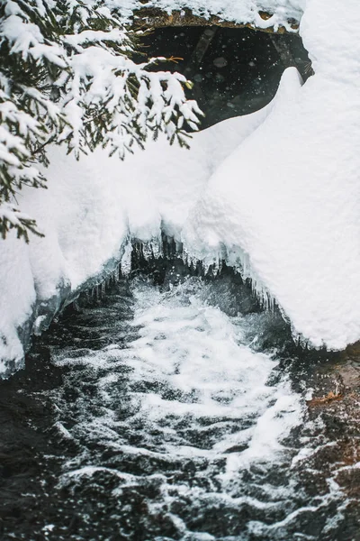 Close Refreshing Water Stream Frozen Forest Details Water Splashing Outdoors — Fotografia de Stock