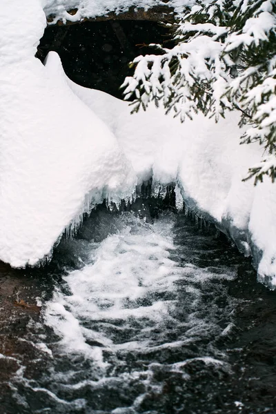 Close Refreshing Water Stream Frozen Forest Details Water Splashing Outdoors — Fotografia de Stock