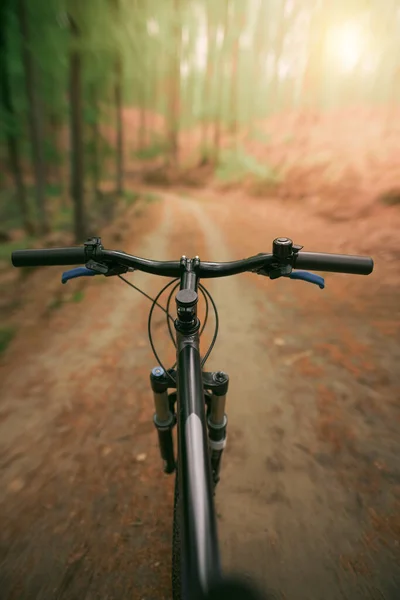 Första Person Syn Hantering Cykeln Den Tomma Skogsvägen Mot Solljus — Stockfoto