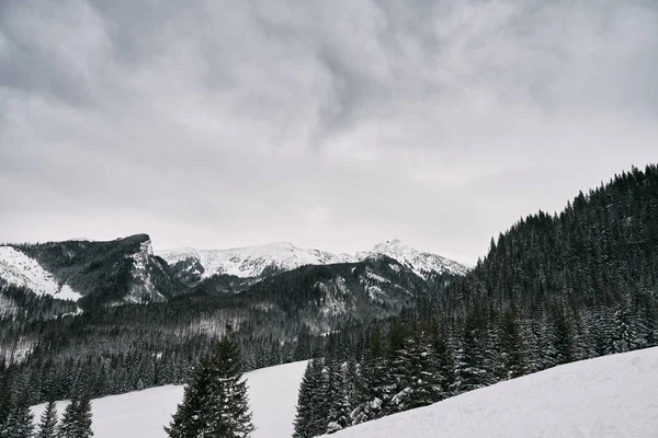 Kayalık Tepeleri Olan Uzak Kış Dağ Sırtı Manzarası Karla Kaplı — Stok fotoğraf