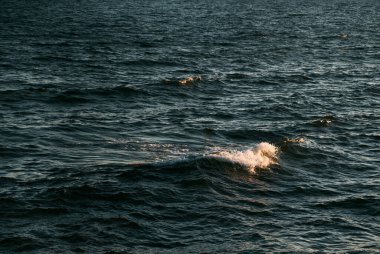 Baltık Denizi 'nde dalga. Yaz akşamında su yüzeyinde güneş ışığı