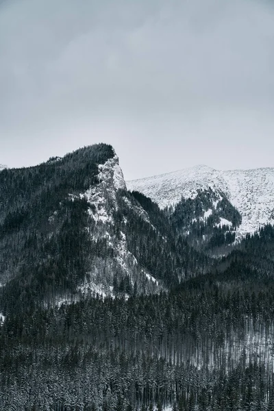 Winter Mountains Peak Panorama Landscape Mountain Covered Snow Dramatic View — Stockfoto