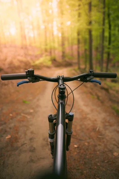 Вид Першої Особи Обробку Велосипеда Порожній Лісовій Дорозі Сонячного Світла — стокове фото