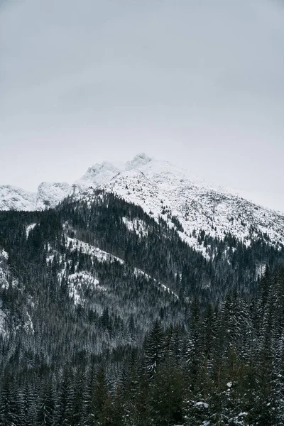 Distant Winter Mountain Ridge Panorama Rocky Peaks Dramatic View Mountains — Stockfoto