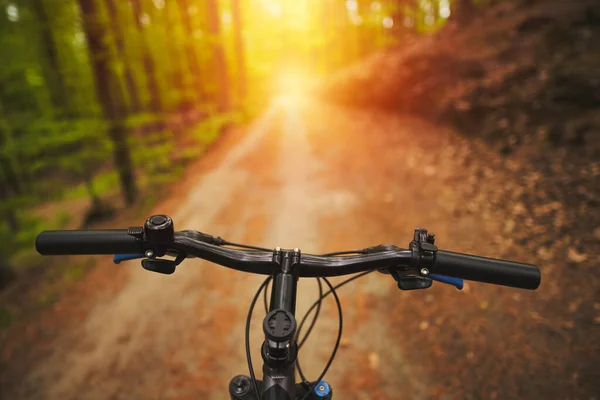 Första Person Syn Hantering Cykeln Den Tomma Skogsvägen Mot Solljus — Stockfoto