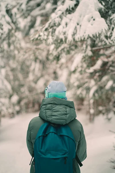 在户外雪地里背着背包的人 那个徒步旅行的女人的后面冬山孤寂历险的概念 — 图库照片