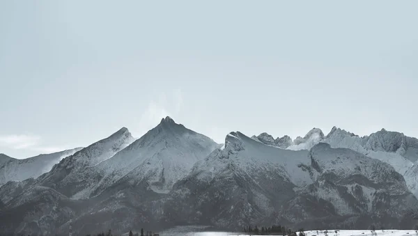 Distant Winter Mountain Ridge Panorama Rocky Peaks Dramatic View Mountains — Stockfoto