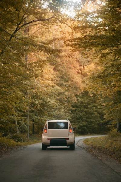 Modern white car on the forest path. Concept of family outdoor adventures