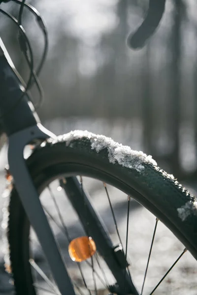 Rower Zimowym Lesie Pokryty Śniegiem Koncepcja Weekendowej Jazdy Podczas Złej — Zdjęcie stockowe