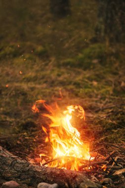Ormanda akşam vakti çok güzel bir kamp ateşi. Kamp alanında alacakaranlıkta yanan ateş güzel bir nehrin kenarındaydı. Gece kamp alanında şenlik ateşi. Ormanda kal.