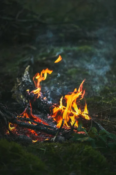 Ormanda akşam vakti çok güzel bir kamp ateşi. Kamp alanında alacakaranlıkta yanan ateş güzel bir nehrin kenarındaydı. Gece kamp alanında şenlik ateşi. Ormanda kal.