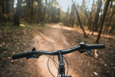 Şehirdeki orman yolunda güneş ışığına doğru bisikleti kullanmanın birinci şahıs görüntüsü. Bisikleti spor ve eğlence amaçlı kullanma kavramı..