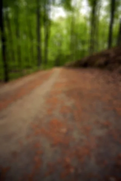 Okoncentrerad Skog Bakgrund Den Suddiga Abstrakta Bakgrunden Höstskogen Med Några — Stockfoto