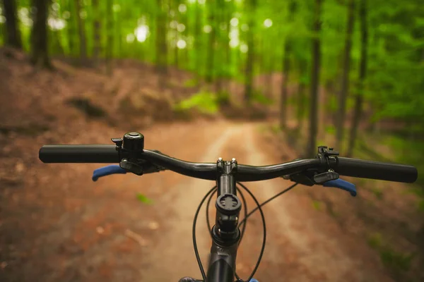 First Person View Handling Bicycle Empty Forest Road Sunlight Outdoor — Zdjęcie stockowe