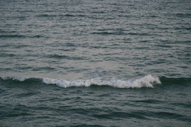 Denizde bir dalganın destansı görüntüsü. Baltık Denizi 'nde Dalga