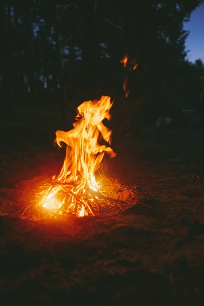 ไฟแคมป ขนาดเล เปลวไฟอ อนโยนข างป าในตอนเย — ภาพถ่ายสต็อก