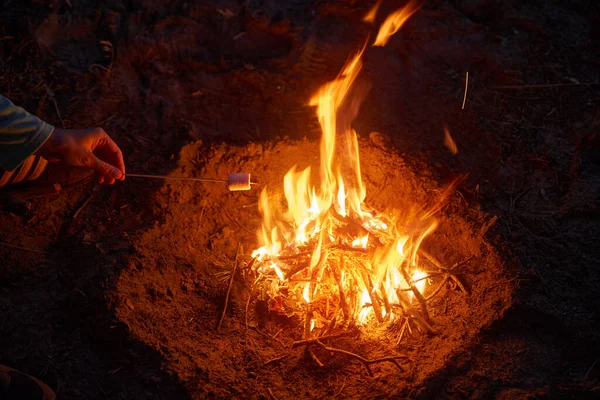 Kleines Lagerfeuer Mit Sanften Flammen Waldrand Abend — Stockfoto