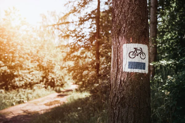 Znak Trasy Rowerowej Drzewie Lesie Niebieska Ścieżka Rowerowa Znak Drogowy — Zdjęcie stockowe