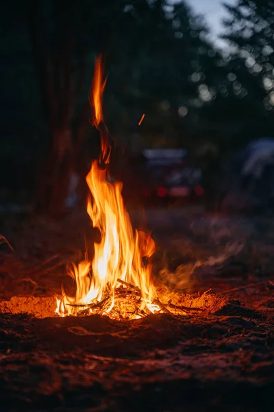 ไฟแคมป ขนาดเล เปลวไฟอ อนโยนข างป าในตอนเย — ภาพถ่ายสต็อก