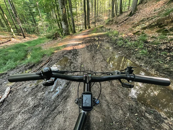 First Person Riding Bike Woods Rain Mtb Race Forest Concept — Stock Photo, Image