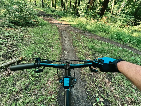 First-person riding a bike in the woods after the rain. MTB race in the forest. Concept of having leisure time outdoors. Rural adventures in the summer